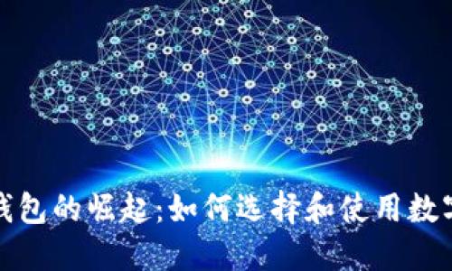 数字钱包的崛起：如何选择和使用数字钱包