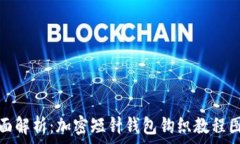   全面解析：加密短针钱包钩织教程图解