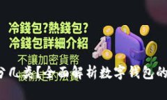  数字钱包分几类？全面解析数字钱包的类型与功