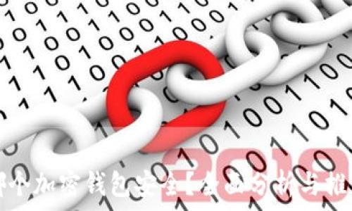   
哪个加密钱包安全？全面分析与推荐