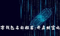 寓意好的数字钱包名称推荐：开启财富之门的好