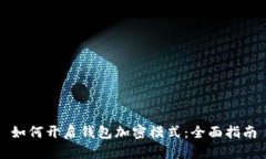 如何开启钱包加密模式：全面指南