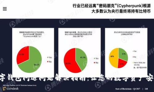 时间数字钱包闪退问题解决指南：让您的数字资产安全无忧!