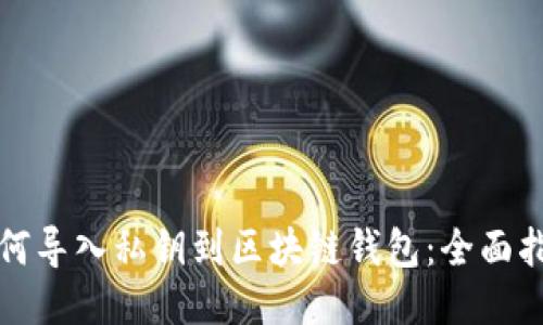 如何导入私钥到区块链钱包：全面指南