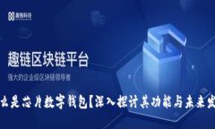 什么是芯片数字钱包？深入探讨其功能与未来发